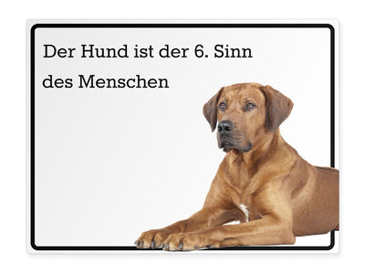 tierschild-quer-der-hund-ist-der-6-sinn-des-menschen