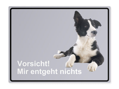 tierschild-quer-vorsicht-mir-entgeht-nichts